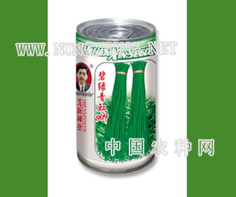 碧绿青豇909